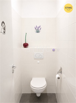Pronájem bytu 3kk, 95 m² 14