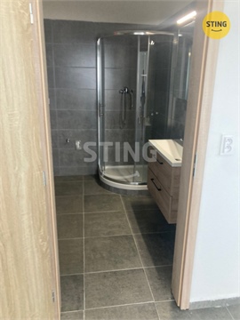 Pronájem bytu 1+1, 63 m² - 6