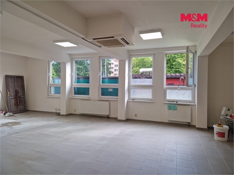 Pronájem obchodních prostor, 66 m² - 4