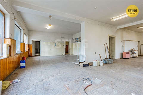 Prodej rodinného domu, 700 m² - 10