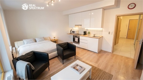 Pronájem bytu 1kk, 48 m² 8
