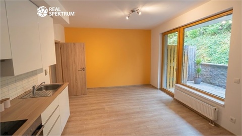 Pronájem bytu 1kk, 48 m² - 4