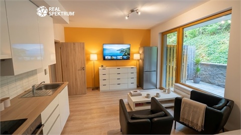Pronájem bytu 1kk, 48 m² - 8