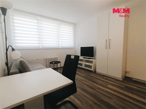 Pronájem bytu 1kk, 25 m² 4