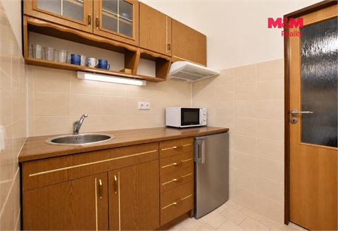 Pronájem bytu 1+1, 45 m² 2
