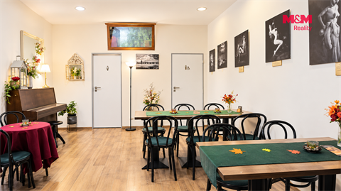 Pronájem obchodních prostor, 76 m² - 14