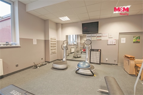 Pronájem obchodních prostor, 320 m² - 0