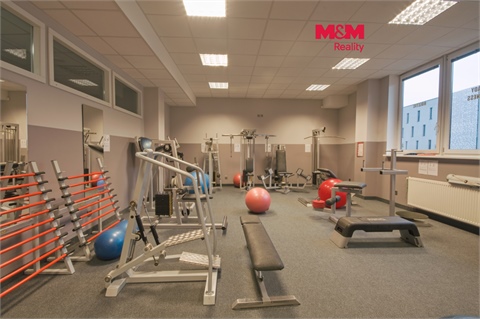 Pronájem obchodních prostor, 320 m² 0