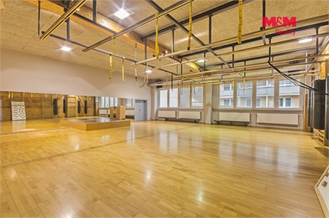 Pronájem obchodních prostor, 320 m² 12