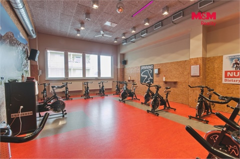 Pronájem obchodních prostor, 320 m² - 14