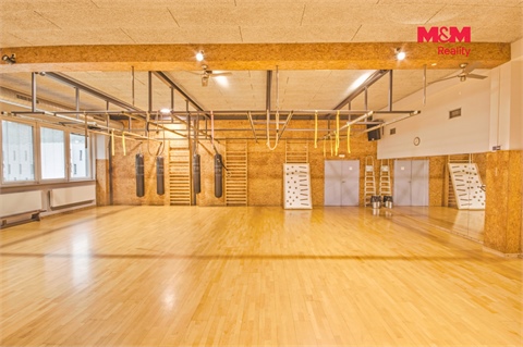 Pronájem obchodních prostor, 320 m² 14