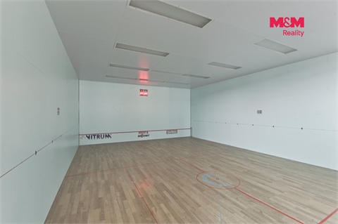 Pronájem obchodních prostor, 320 m² 10