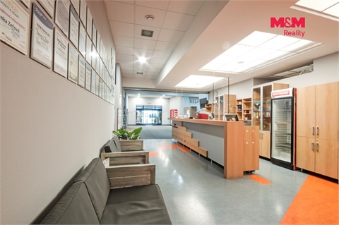 Pronájem obchodních prostor, 320 m² - 2