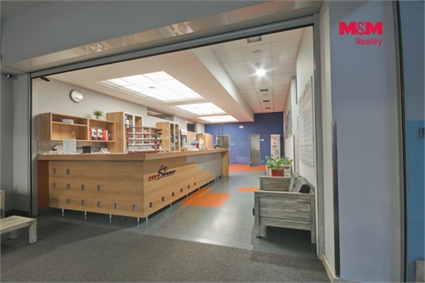 Pronájem obchodních prostor, 320 m² - 4