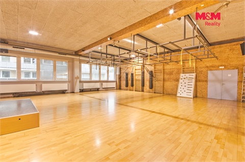 Pronájem obchodních prostor, 320 m² - 12