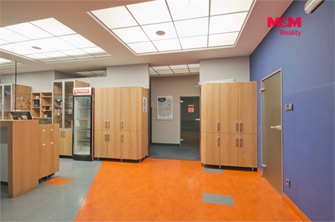 Pronájem obchodních prostor, 320 m² 4