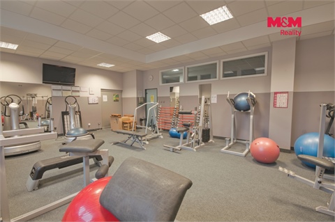 Pronájem obchodních prostor, 320 m² 2