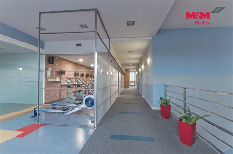 Pronájem obchodních prostor, 320 m² 8
