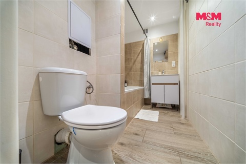 Prodej bytu 3+1, 64 m² 8