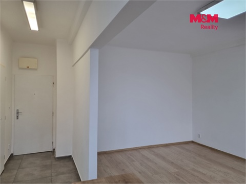 Pronájem bytu 1+1, 38 m² 8