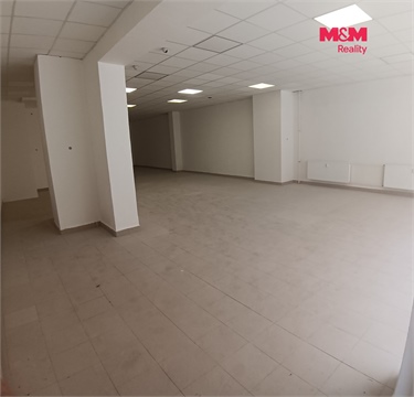 Pronájem obchodních prostor, 125 m² - 4