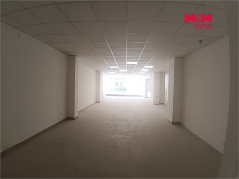 Pronájem obchodních prostor, 125 m² - 6