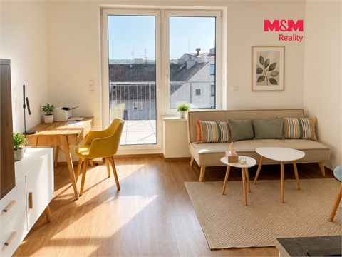 Pronájem bytu 1kk, 24 m² 4