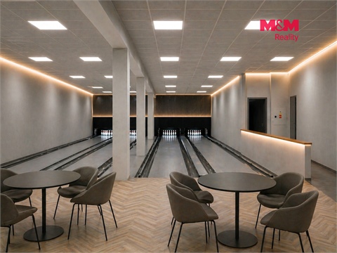 Prodej obchodních prostor, 1 076 m² - 6