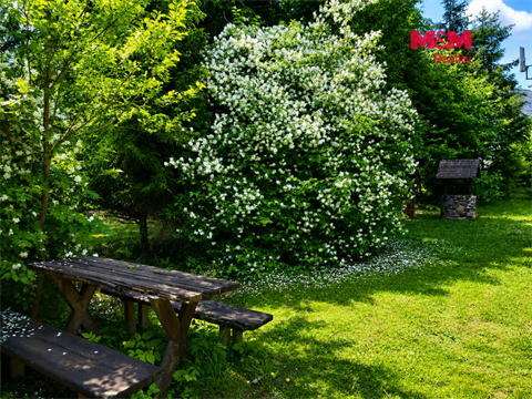 Prodej chaty / chapuly, 90 m² - 12