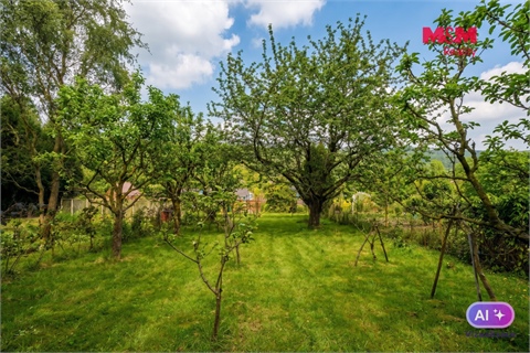 Prodej chaty / chapuly, 12 m² 14