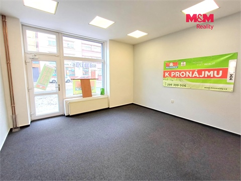 Pronájem obchodních prostor, 40 m² 6