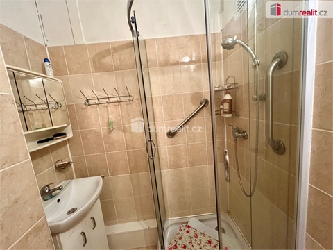 Prodej bytu 2+1, 55 m² 10