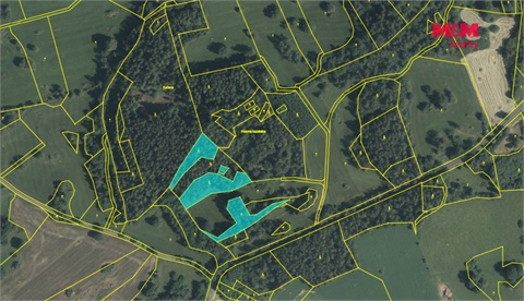 Prodej lesu, 7 042 m² 8