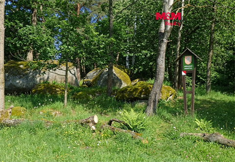 Prodej lesu, 7 042 m² 0