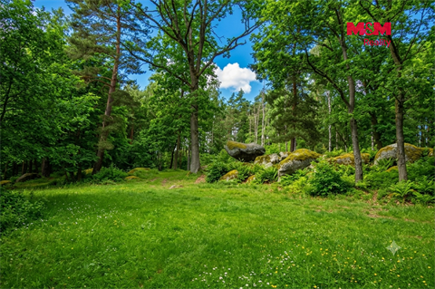 Prodej lesu, 7 042 m² - 4