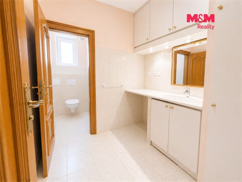Pronájem bytu 4+1, 168 m² 12