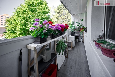 Prodej bytu 3+1, 71 m² - 12