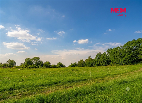 Prodej zemědělské půdy, 4 828 m² 2