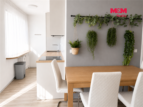 Pronájem bytu 1kk, 37 m² 2