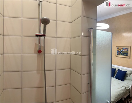 Pronájem bytu 1+1, 33 m² - 6