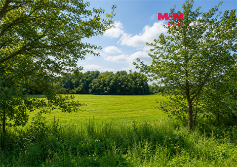 Prodej louky, 4 863 m² 0