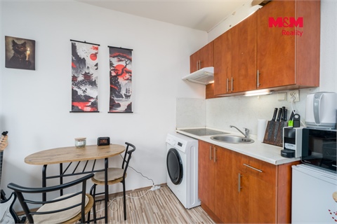 Prodej bytu 1kk, 19 m² 4