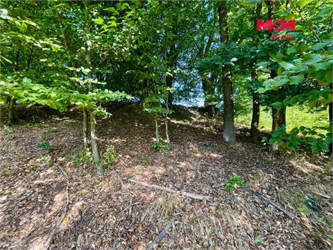 Prodej lesu, 5 050 m² - 2