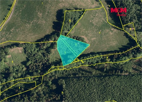 Prodej lesu, 5 050 m² 4