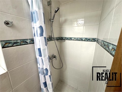 Pronájem bytu 1kk, 45 m² - 10