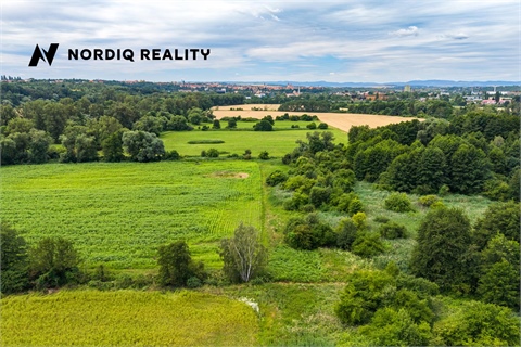 Prodej zemědělské půdy, 10 031 m² - 8