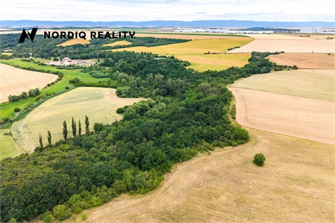 Prodej zemědělské půdy, 2 841 m² - 10