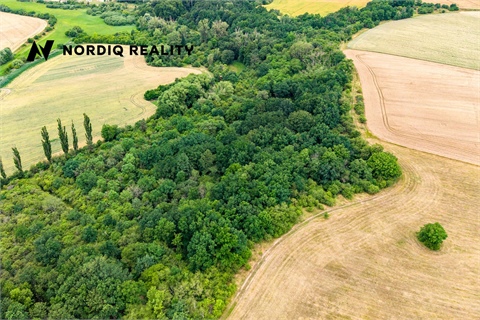 Prodej zemědělské půdy, 2 841 m² 10