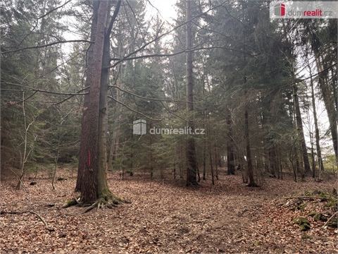 Prodej lesu, 2 877 m² - 4