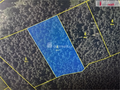 Prodej lesu, 4 316 m² 0